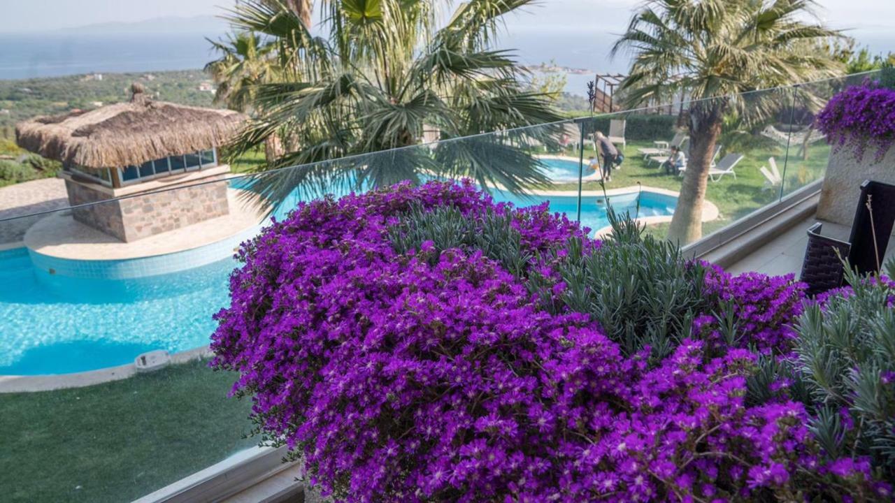 Assos Alis Farm Boutique Hotel & Spa Bagian luar foto