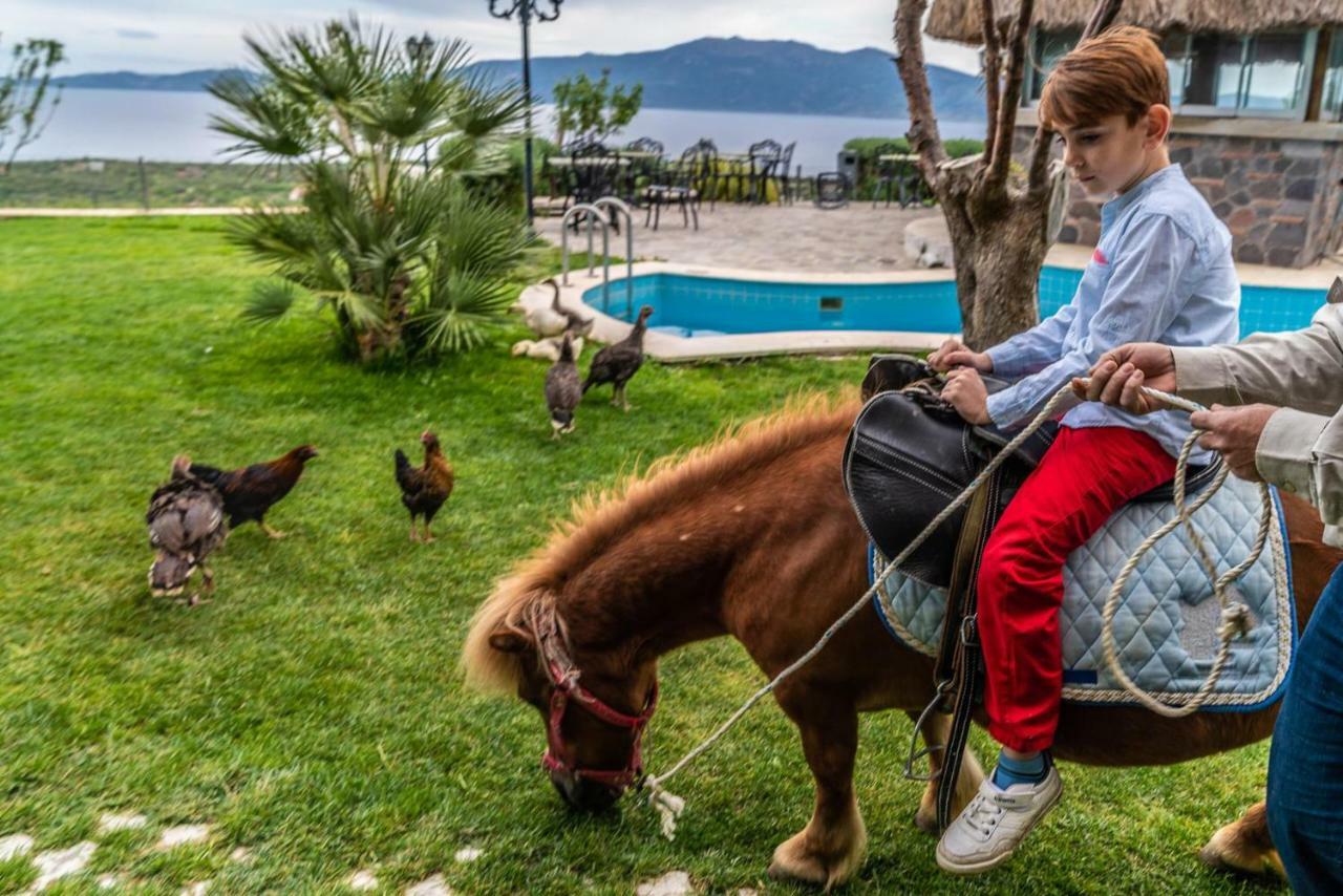 Assos Alis Farm Boutique Hotel & Spa Bagian luar foto