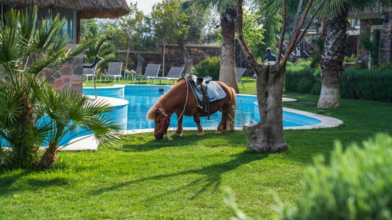 Assos Alis Farm Boutique Hotel & Spa Bagian luar foto
