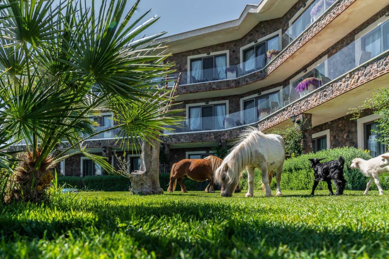 Assos Alis Farm Boutique Hotel & Spa Bagian luar foto
