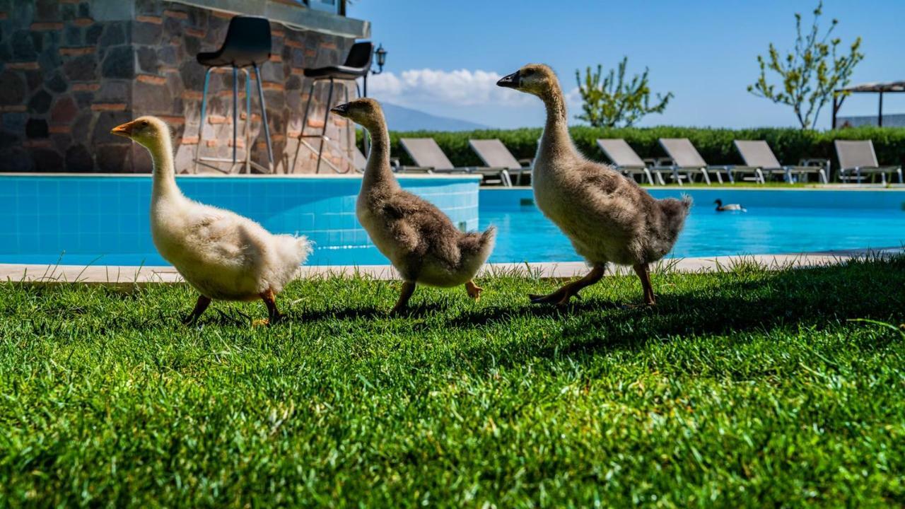 Assos Alis Farm Boutique Hotel & Spa Bagian luar foto