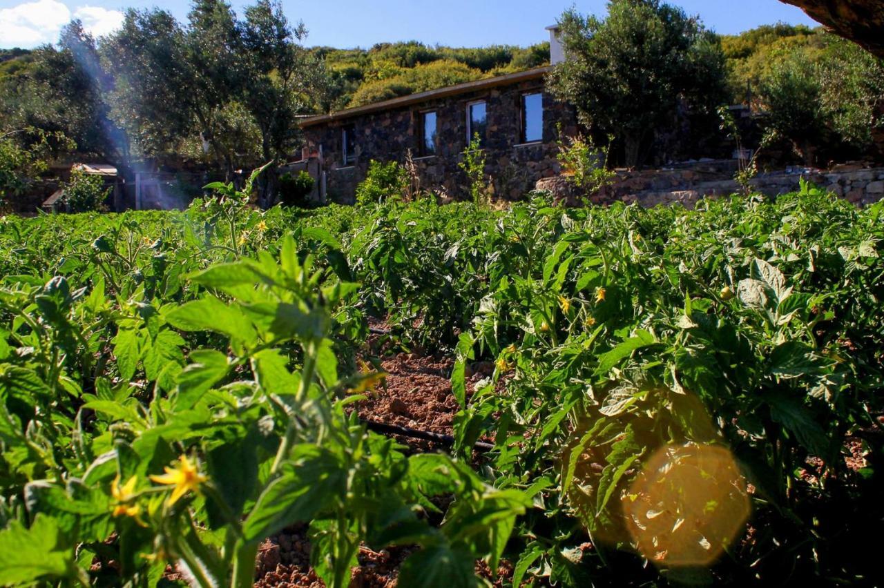 Assos Alis Farm Boutique Hotel & Spa Bagian luar foto